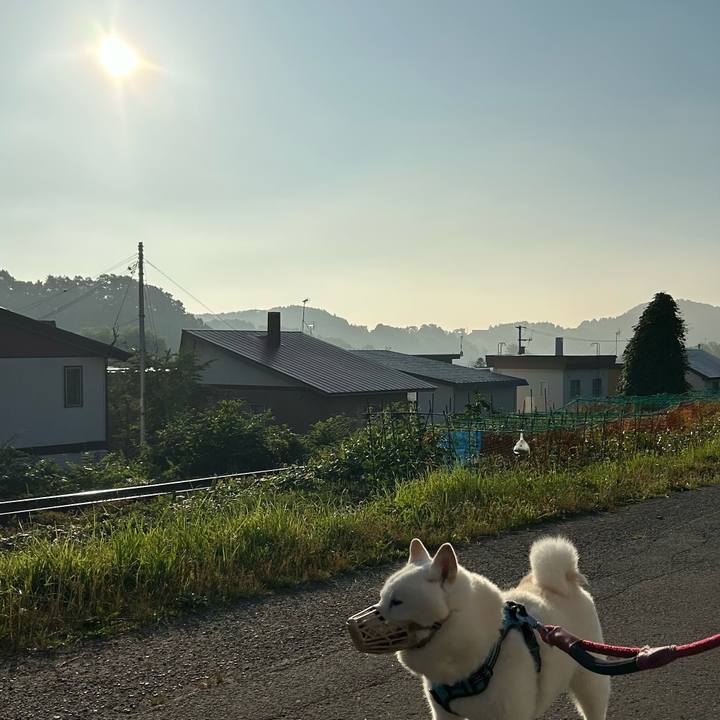 67ef053d 605d 44e3 82ad d492096ce059 1751836770840