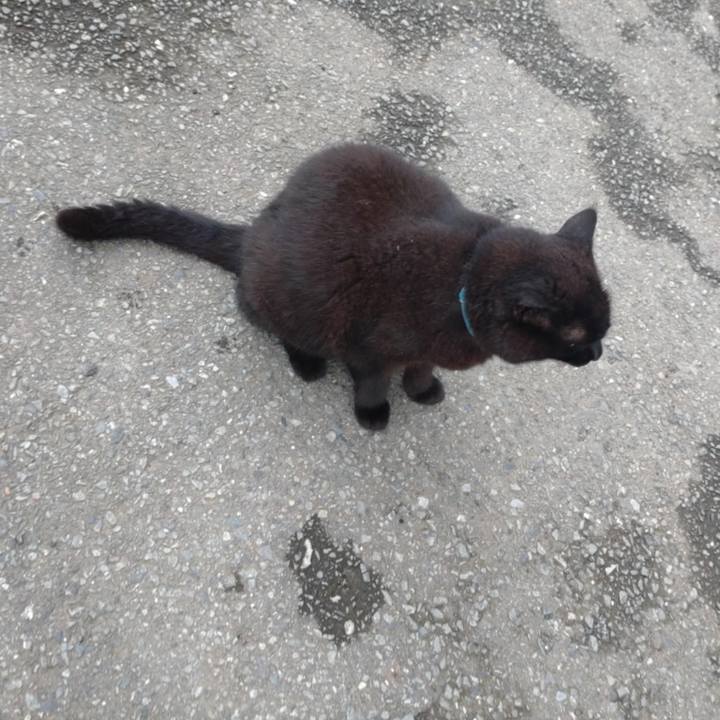 67ef2f7a 00a0 4c3f 970a 62bd42dbdf4a 1757635132618