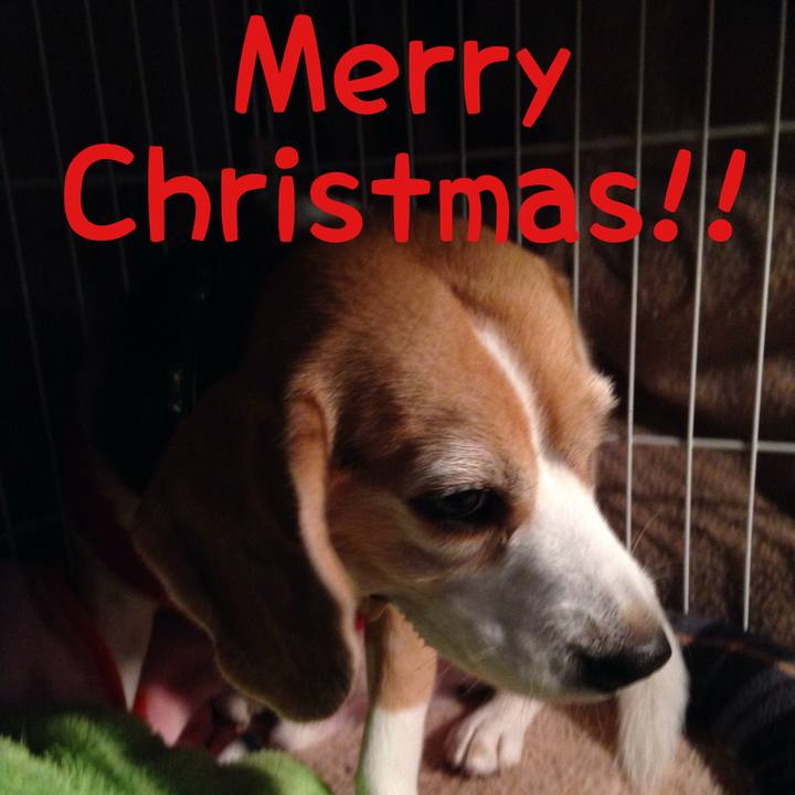 67efea7e 0e68 4fad 8579 90ba1671adf2 1766565662180