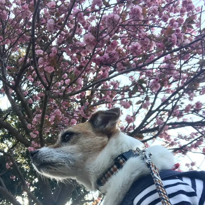 67eff392 2f63 4896 9a46 ca6fab287790 1586593843944