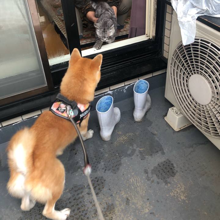 67effddd c811 4a27 9c95 f921b67bef66 1551078001735