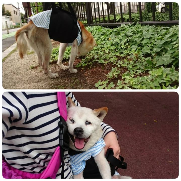 67f005bb 6b98 4157 9198 d08f39ae5c04 1526095627083