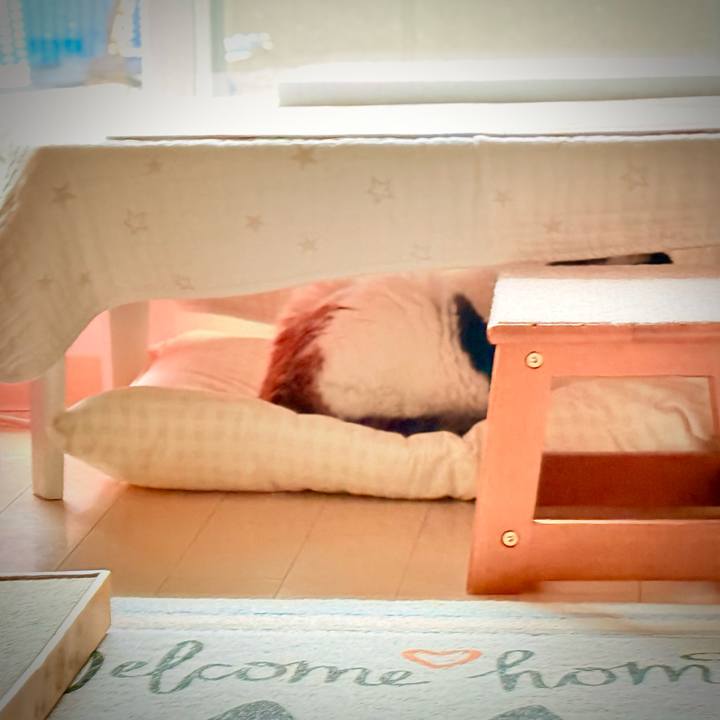 67f00d38 9a38 4444 85e3 e6581cfe3b2e 1759891253006