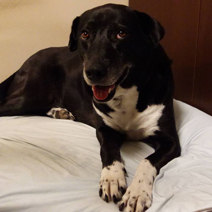 67f01707 b224 4cfa 8948 2635053ca9b5 1721042057779