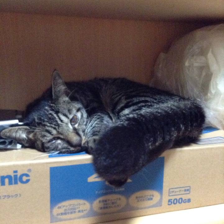 67f03aa8 4ba3 4bb6 94b8 7a3ee14cb8a2 1539348504880