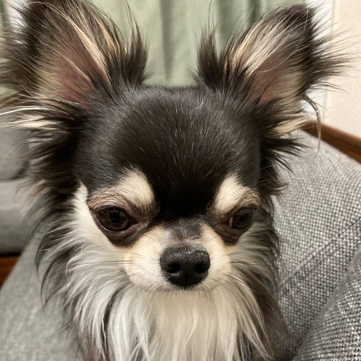 67f077ed db84 4a2d a582 7519e4d7ed71 1616247725603