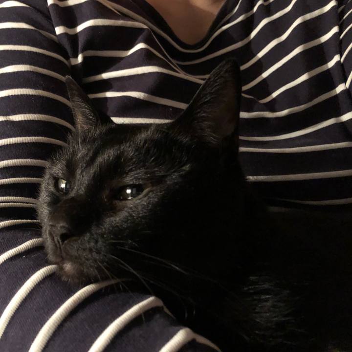 67f0797a a68f 405e a0ab 6fa8c3c4c5eb 1676723550344