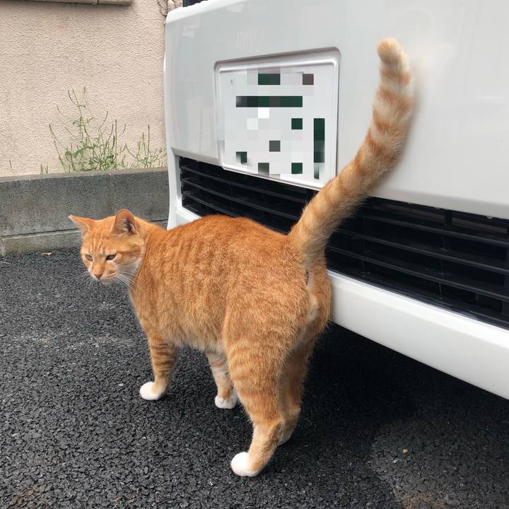 67f07fa1 58cc 4ccb aee8 602dd91c511a 1539321582847