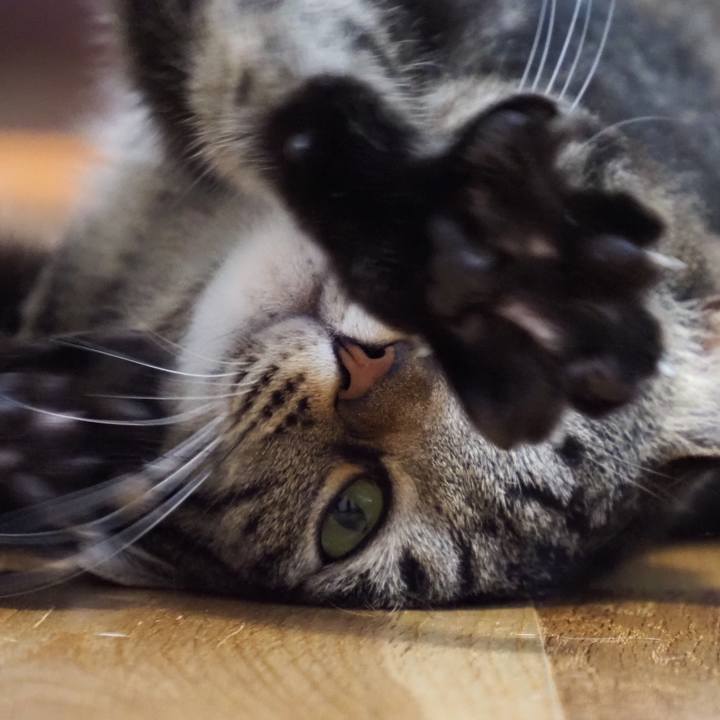 67f1300a 5024 4534 a7f4 4fd5a78d7941 1595821147984