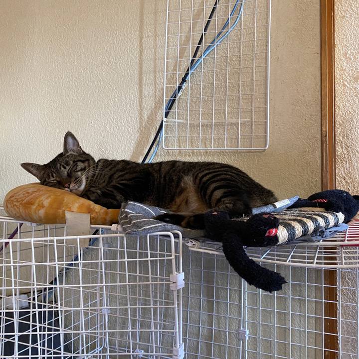 67f165e1 9df1 4fad 9e4e 8b01bba1cfbe 1601355010949