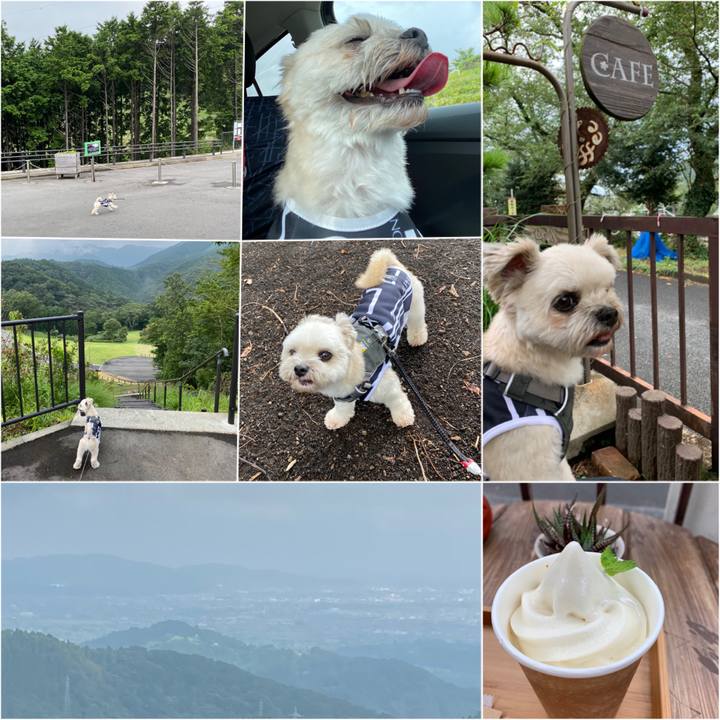 67f17ba7 194d 415d 8b7a ec557a6a4fad 1598613673872