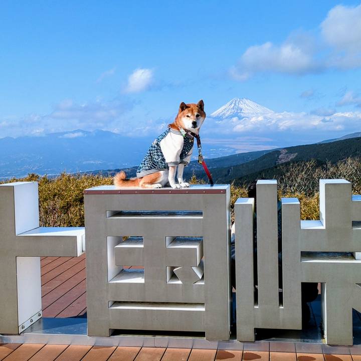 67f18066 441e 41ba 8d21 a8838ba9caa3 1766121673667