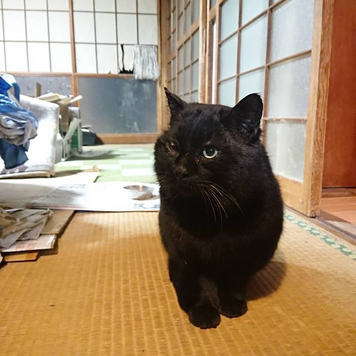 67f1b7cb 1bda 4496 bfd2 5ff5028805bf 1615028853216