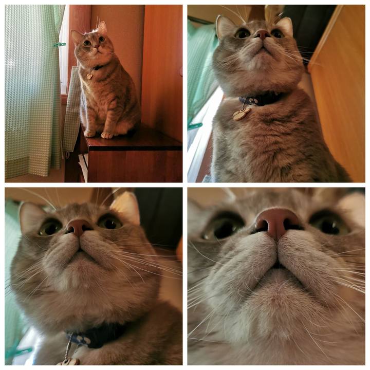 67f1bc01 79c0 48d7 84ae 9dd269bee521 1637458008316