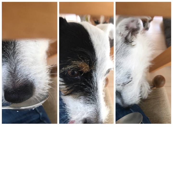 67f1c256 718b 4467 a257 9f32b50823ba 1539734467014