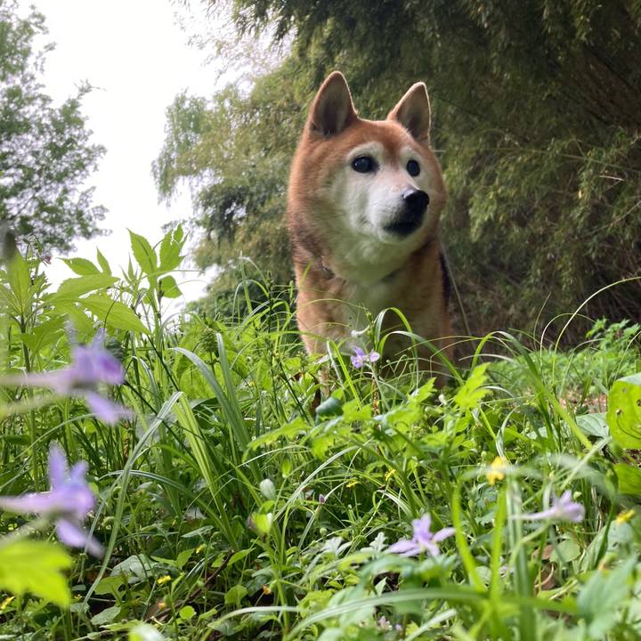 67f1d02a bdcb 426b 8484 208a2f90affb 1746935405893