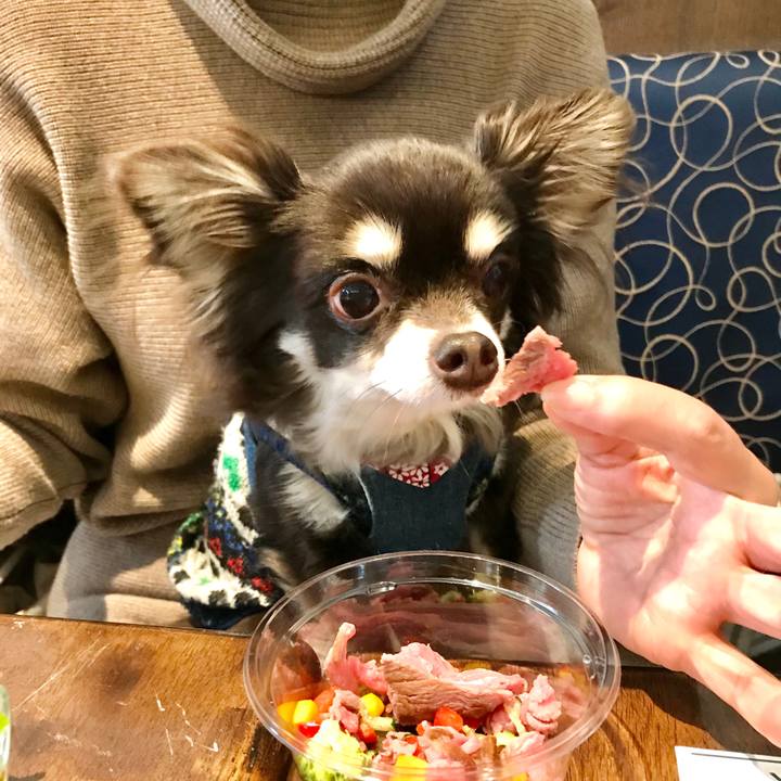 67f21eb0 6b38 43fa 9354 9e763291cdd4 1584254794472