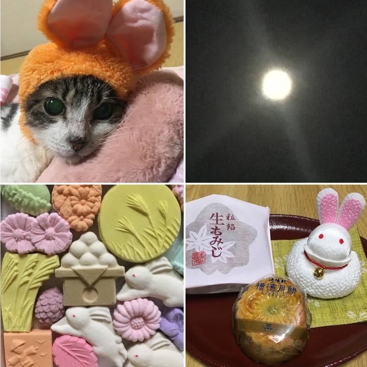 67f24112 5455 4b8b a493 5798ab57956f 1509540083529