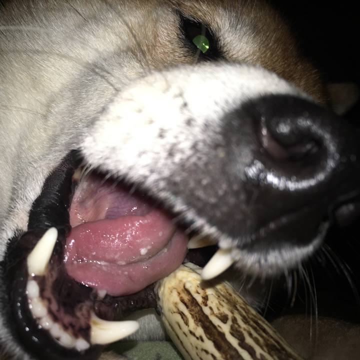 67f2495c af98 49ff ba84 8590bdc3bfc5 1586877177302