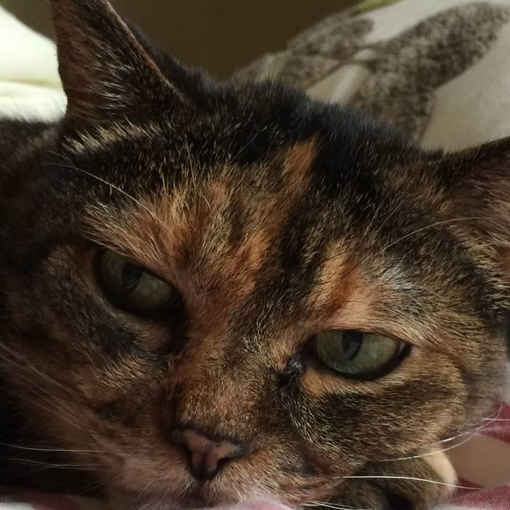 67f284e7 652c 44c7 86d6 a650dd7fed28 1548939963534