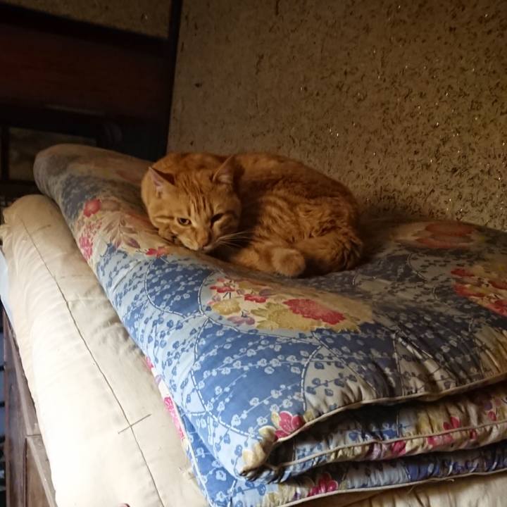 67f29925 b189 4bd6 9aa5 0dd42666b13b 1652274070784