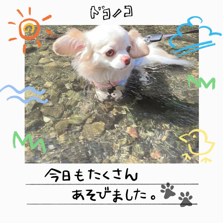 67f2bfe6 496d 4b1b 9703 892d422c3411 1755339673162