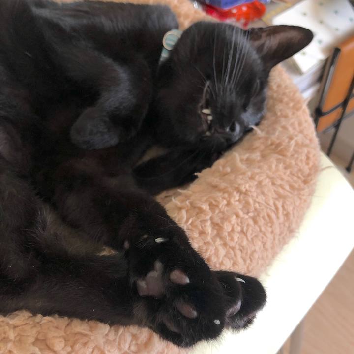 67f2ccd4 e17d 43df 9408 3265f1429c6f 1564737175758