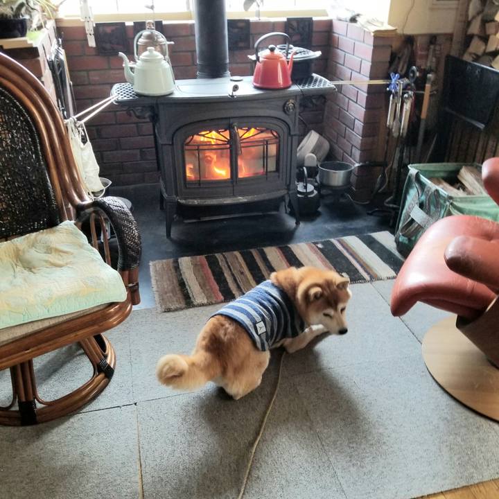 67f2ced0 99f8 4b26 b7f0 abec8a996f52 1611188145351