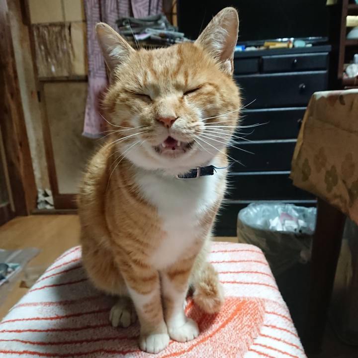 67f2da0a c4bb 47c3 ad7d 86f550456235 1607024897034