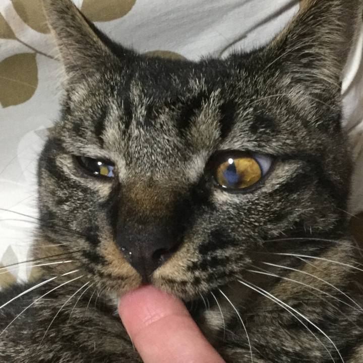 67f2ddcd f6f5 4d18 b23e 1c904e66962b 1558790822480