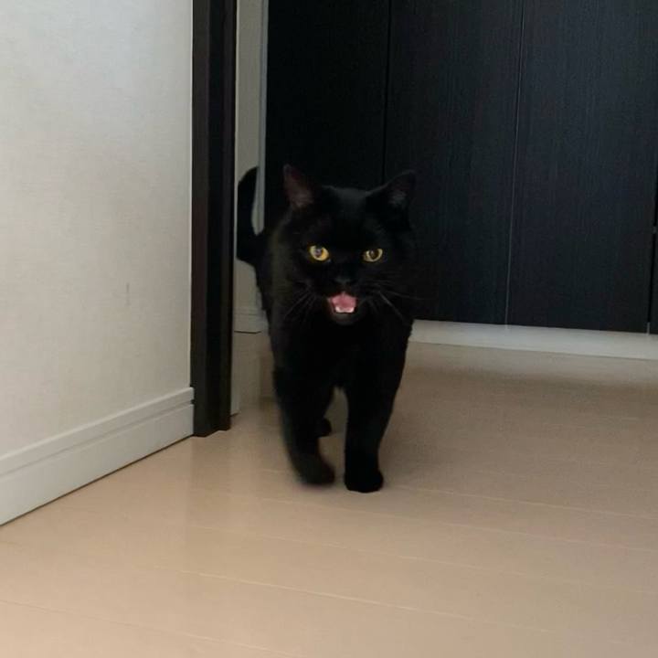 67f2ee9b e440 4562 a479 6a2a28564948 1749025645104