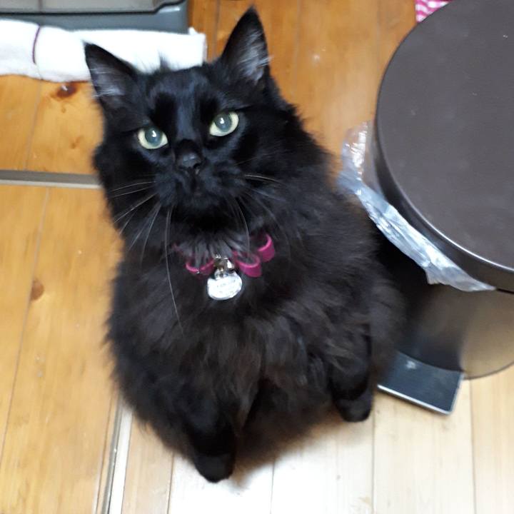 67f2ef7a 0e77 4aa1 92dd 3c59fa429e1d 1522254502967