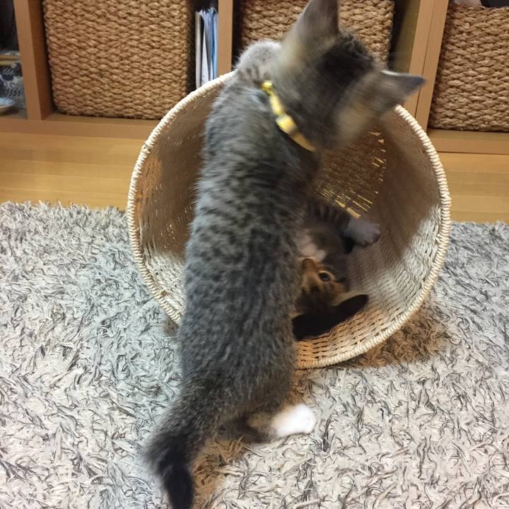 67f308ab a12c 47a4 9e9a 91ad15a73e46 1627651245306