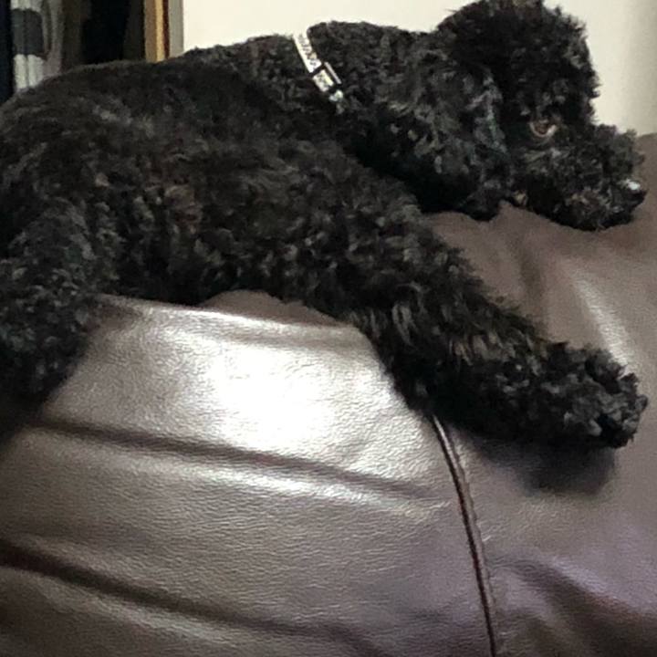 67f31489 337d 44ae 9518 14dad78567f3 1529410703362