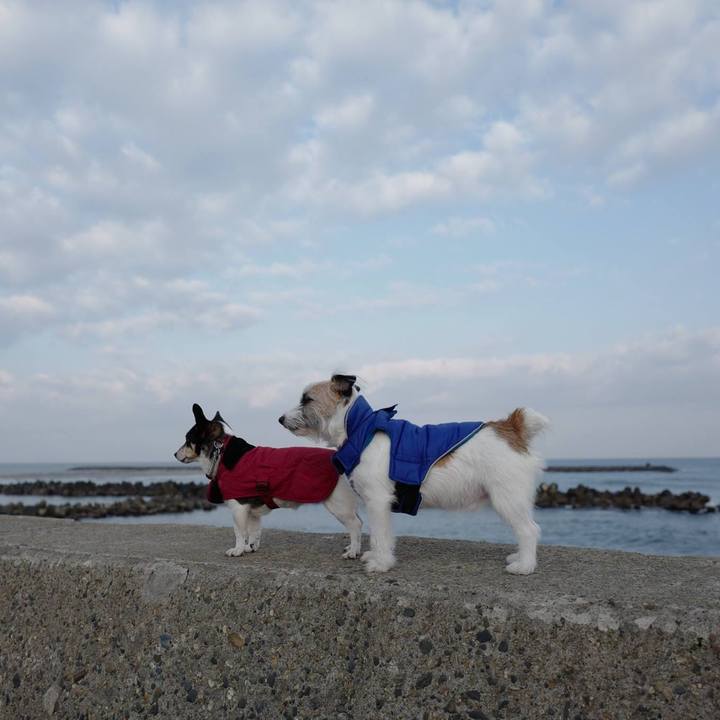 67f36cb8 9b9a 48d3 a013 197b9cc64bf2 1550987407194