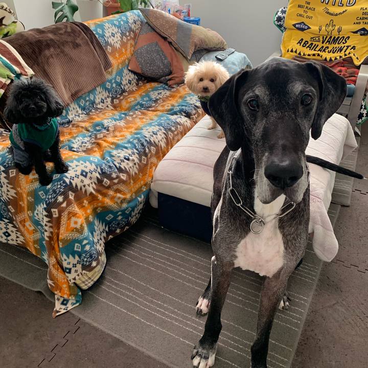 67f385f7 f3e2 4fe4 bac9 5856a3c9d936 1604443142157