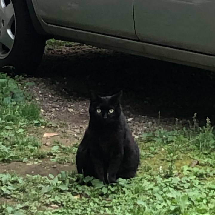 67f3a524 68f1 4528 a006 ec2e107dd3a8 1654430623190