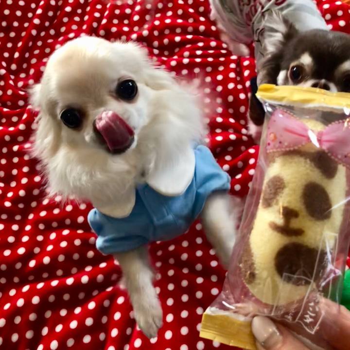 67f3b974 8f47 469c ae94 6e59e6295a70 1517102770869