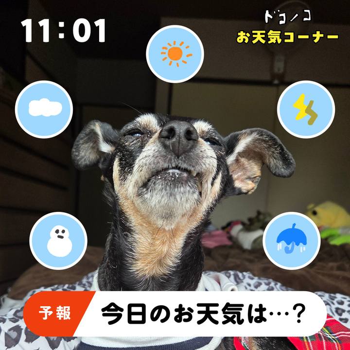 67f3baaf 3dce 428c 9e37 0eae527b848b 1781560888932