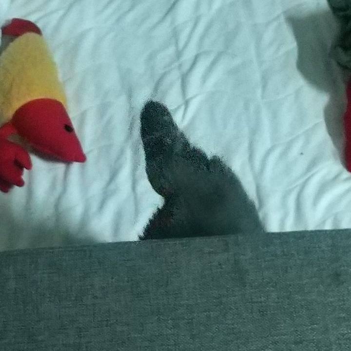 67f3dec5 6224 436e b17e 758aaaee96c5 1686741202427