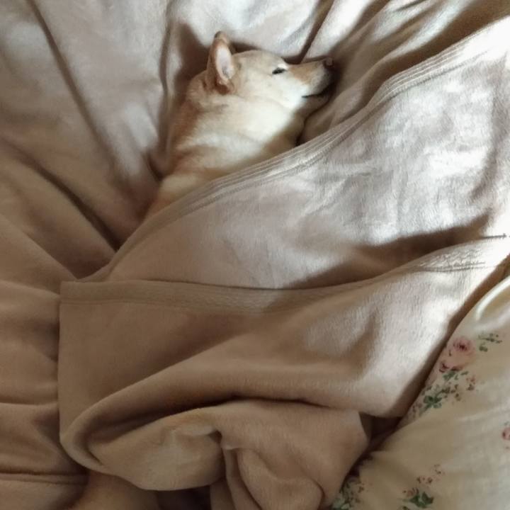 67f444f0 dcff 4f05 992e 1455ec42fdff 1585915709534