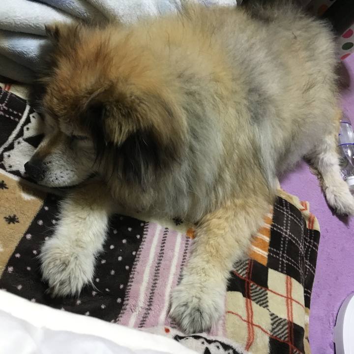 67f46499 5abe 473e bbfa 45ed370d343f 1597185118604