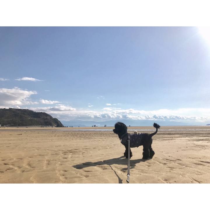 67f470b5 7199 4a35 a80b 590d06d7f4e7 1552741472919