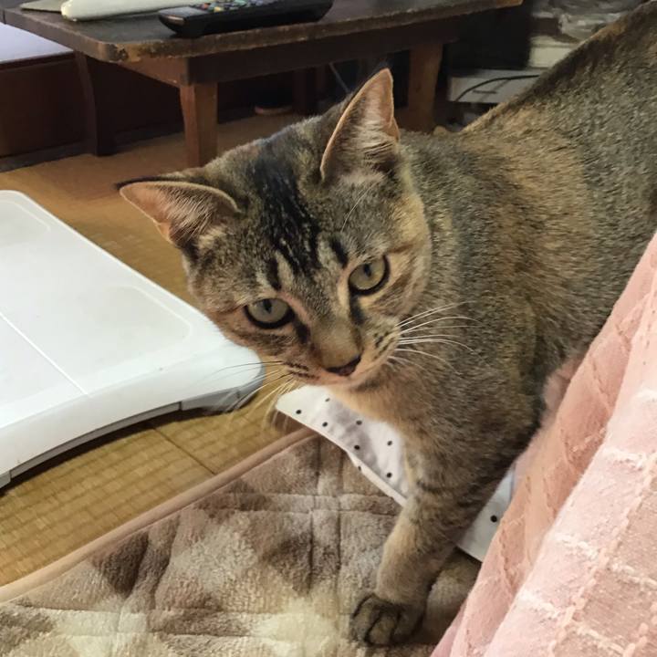 67f4c620 78ad 44ed a6cf 09ded7fbaa95 1577770364363