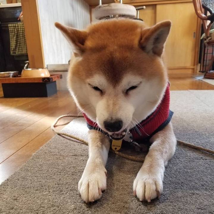 67f4df11 569d 452b b12a 4ac312c4886a 1607473471455