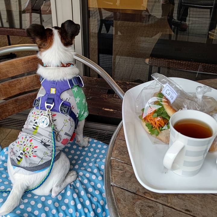 67f4f7f0 4c6b 4289 83c9 e704a298df2f 1634014242616