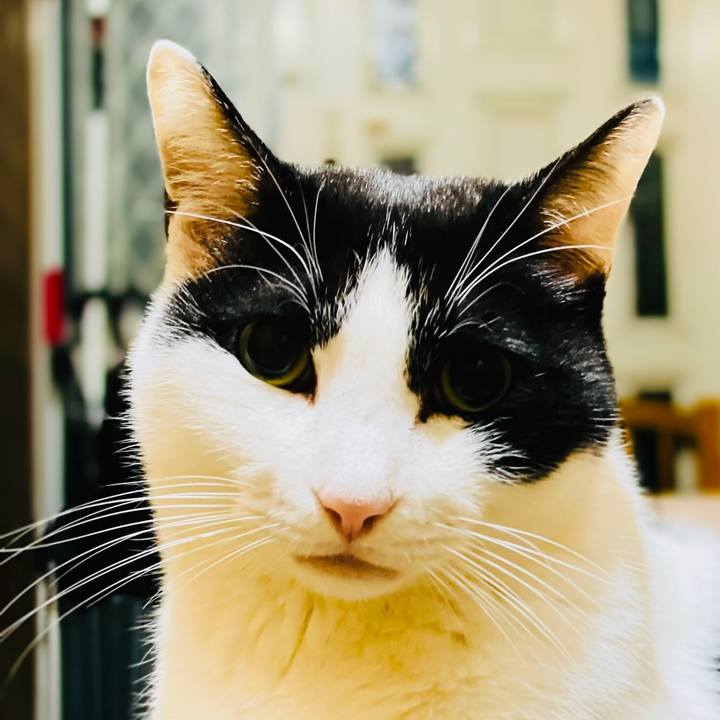 67f54fc7 8f1c 4ee7 a934 d9d4315de0e4 1606530962596