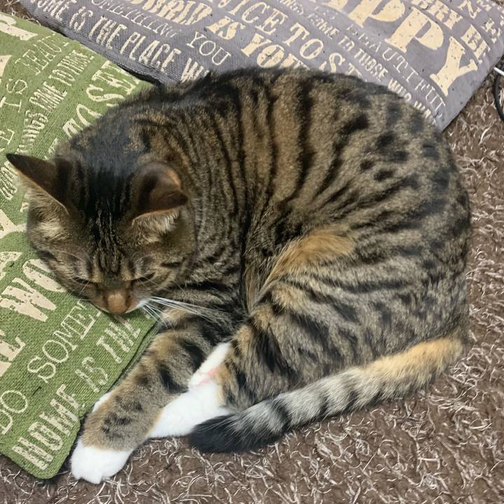 67f5a1a5 7c38 4733 9266 e4c6ee32176a 1575513920756