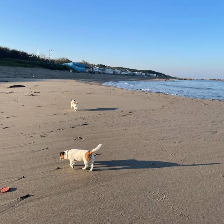 67f5b1c0 d50d 41f8 989d c63e40f373e1 1761783298552