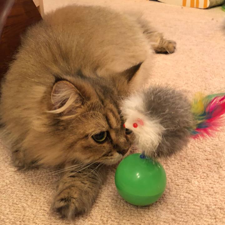 67f5be95 81e3 4d30 8022 2802474051ab 1539087861032